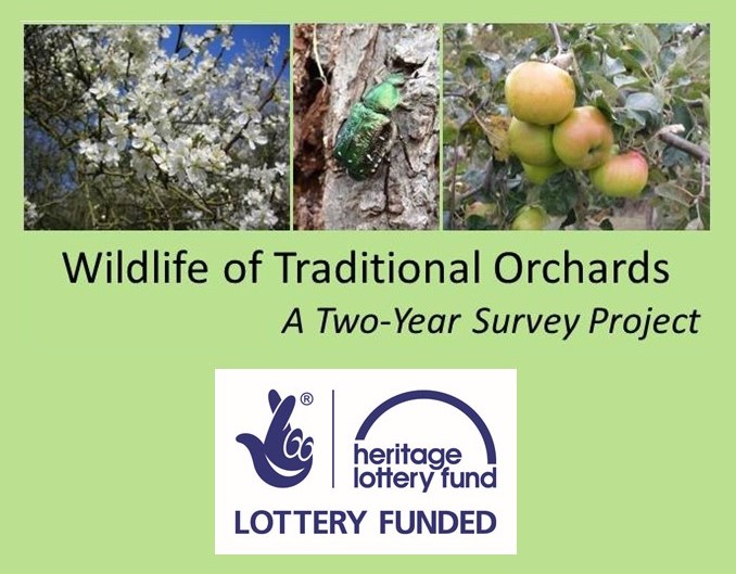 HLF and orchard project logos