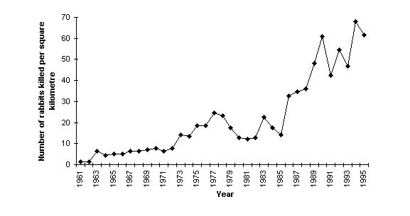 Rabbit population graph