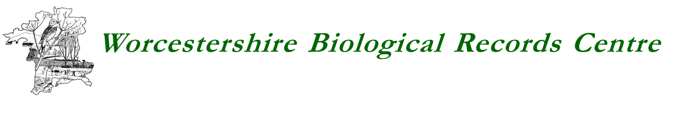 [WBRC Logo]